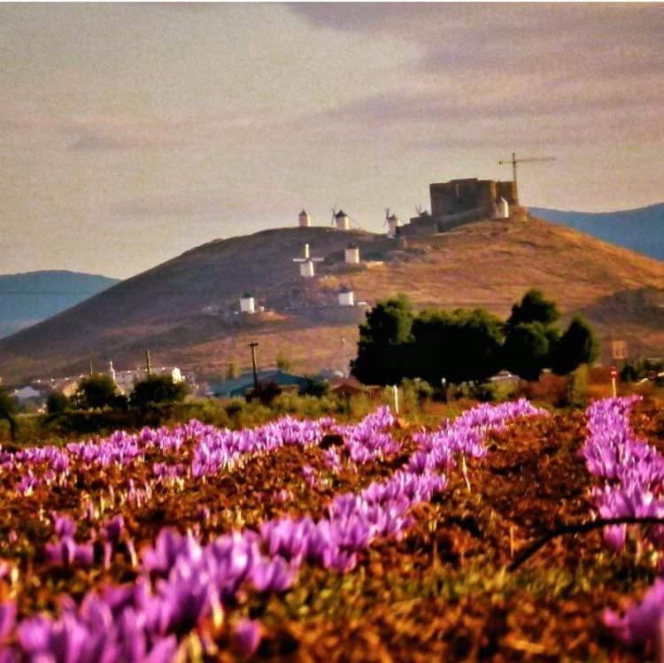 Posada De Los Consules Consuegra Zewnętrze zdjęcie